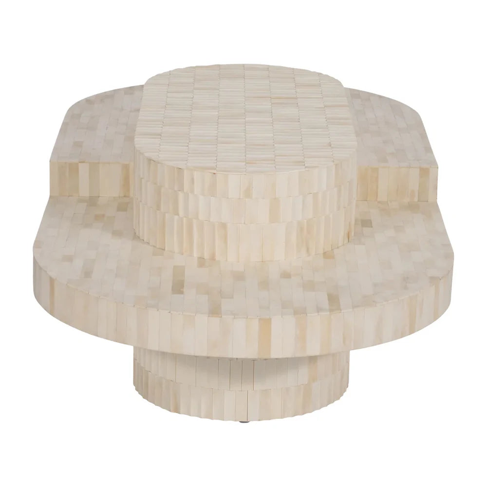 Bone carved coffee table